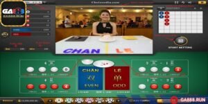 AG live casino mang tới nhiều cửa xóc đĩa thưởng đã tay
